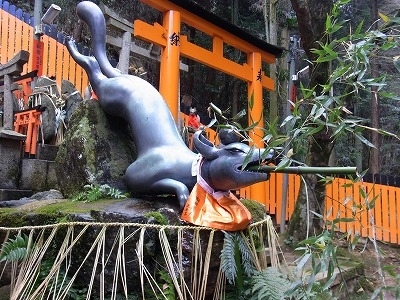RIMG0758